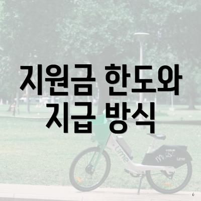 지원금 한도와 지급 방식