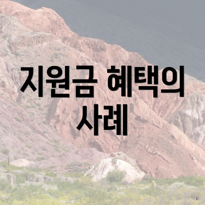 지원금 혜택의 사례