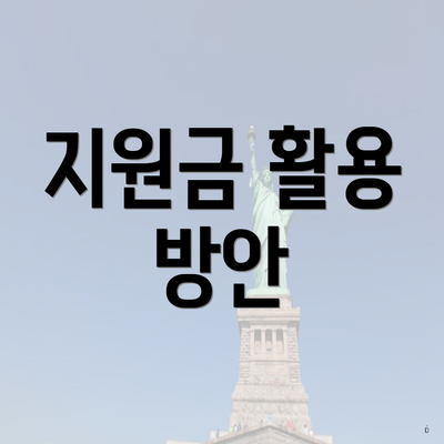 지원금 활용 방안
