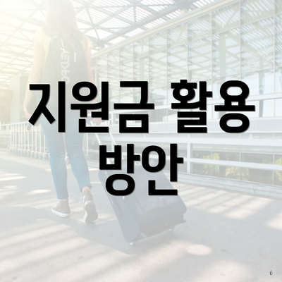 지원금 활용 방안
