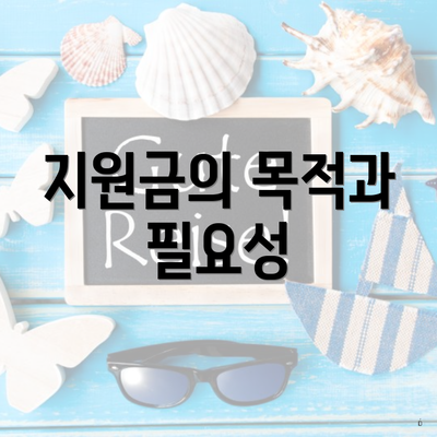 지원금의 목적과 필요성