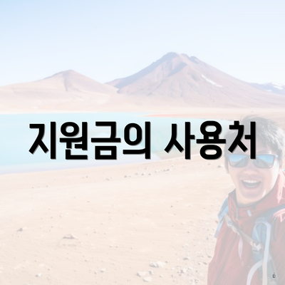 지원금의 사용처