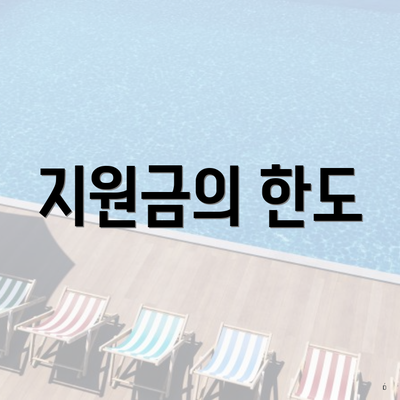 지원금의 한도