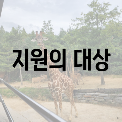 지원의 대상