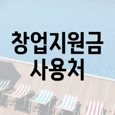 창업지원금 사용처
