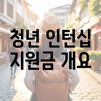 청년 인턴십 지원금 개요