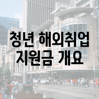 청년 해외취업 지원금 개요