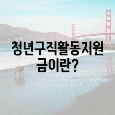 청년구직활동지원금이란?