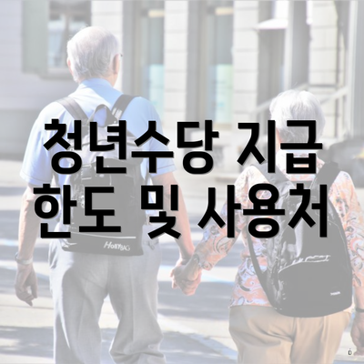 청년수당 지급 한도 및 사용처
