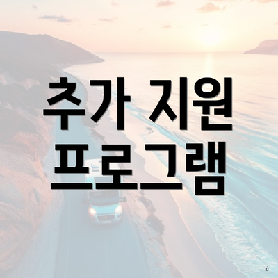 추가 지원 프로그램