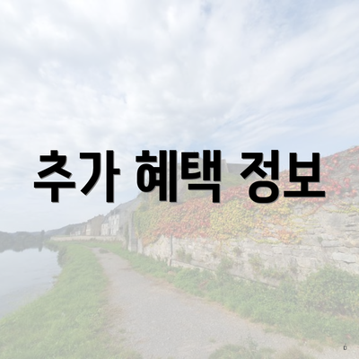추가 혜택 정보