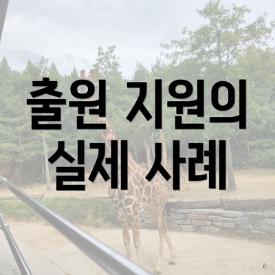 출원 지원의 실제 사례