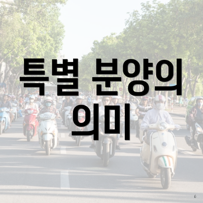 특별 분양의 의미