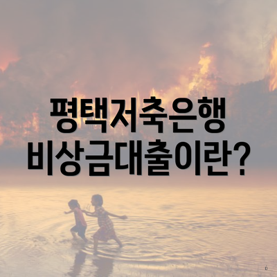 평택저축은행 비상금대출이란?