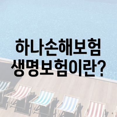 하나손해보험 생명보험이란?