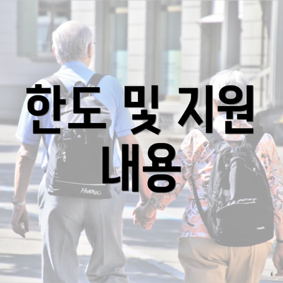 한도 및 지원 내용