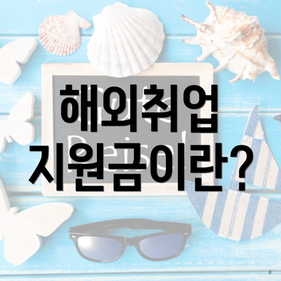 해외취업 지원금이란?