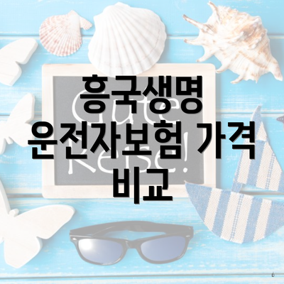 흥국생명 운전자보험 가격 비교