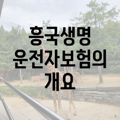 흥국생명 운전자보험의 개요