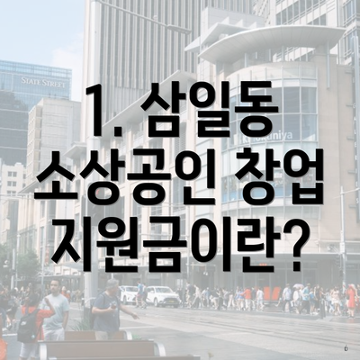 1. 삼일동 소상공인 창업 지원금이란?