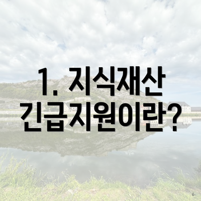 1. 지식재산 긴급지원이란?