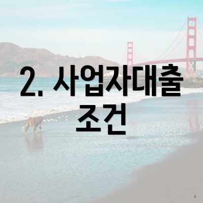 2. 사업자대출 조건