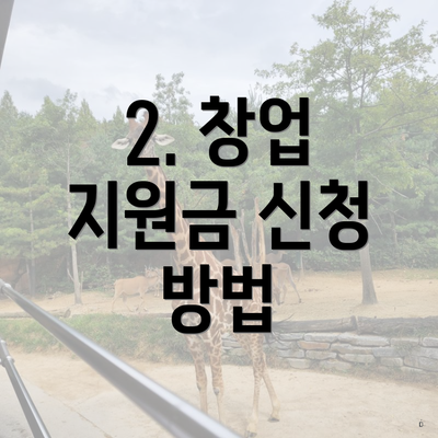 2. 창업 지원금 신청 방법