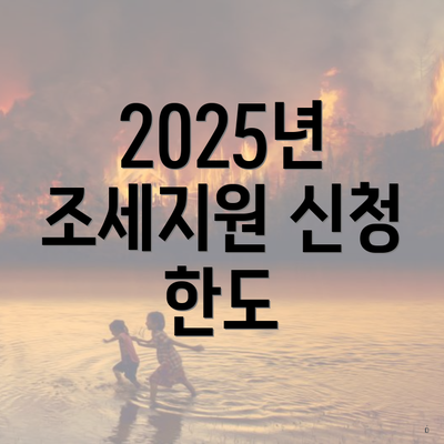 2025년 조세지원 신청 한도
