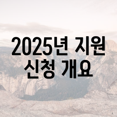 2025년 지원 신청 개요