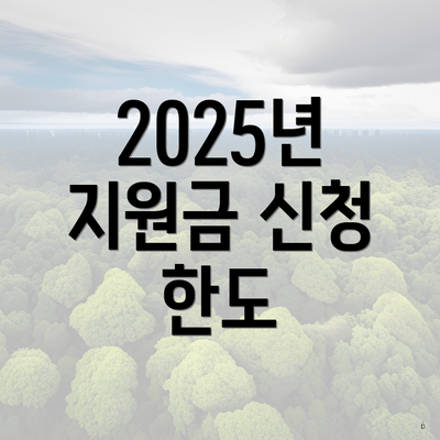 2025년 지원금 신청 한도