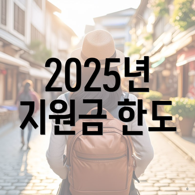 2025년 지원금 한도