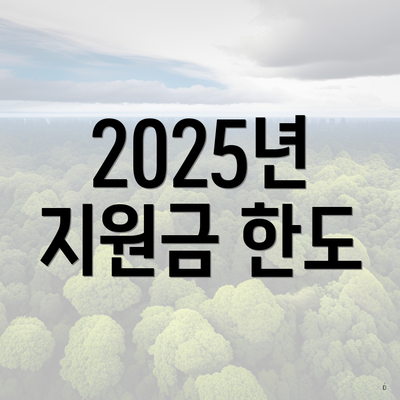 2025년 지원금 한도