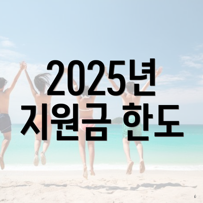 2025년 지원금 한도