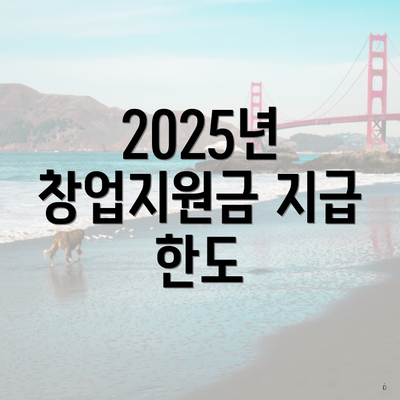 2025년 창업지원금 지급 한도