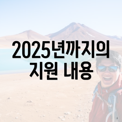 2025년까지의 지원 내용