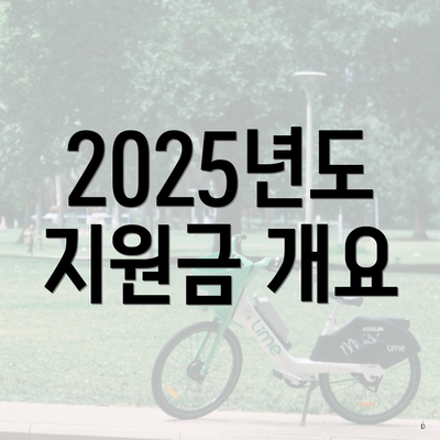 2025년도 지원금 개요