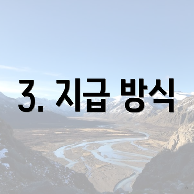 3. 지급 방식