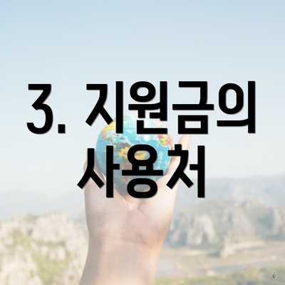 3. 지원금의 사용처