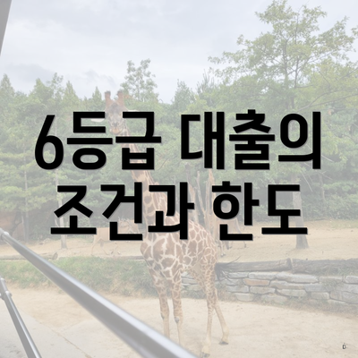 6등급 대출의 조건과 한도