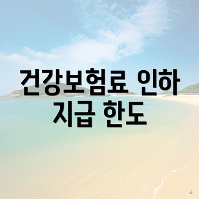 건강보험료 인하 지급 한도