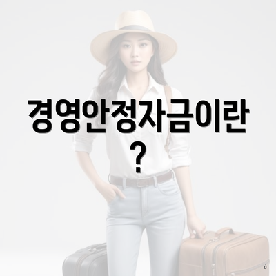 경영안정자금이란?