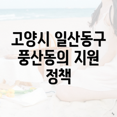 고양시 일산동구 풍산동의 지원 정책