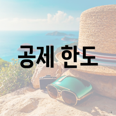 공제 한도