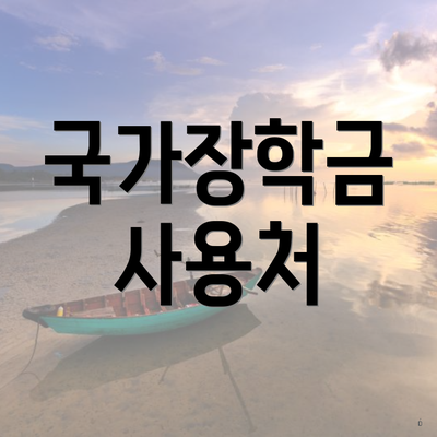 국가장학금 사용처