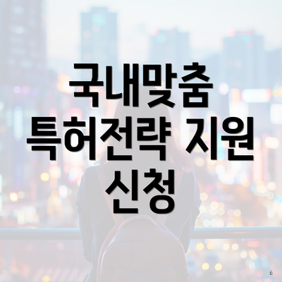 국내맞춤 특허전략 지원 신청