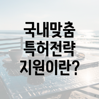 국내맞춤 특허전략 지원이란?