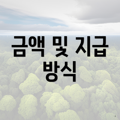 금액 및 지급 방식