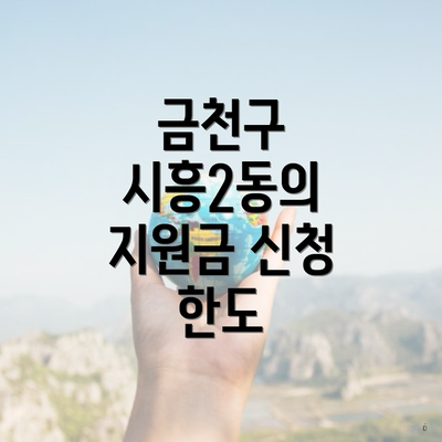 금천구 시흥2동의 지원금 신청 한도