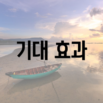 기대 효과