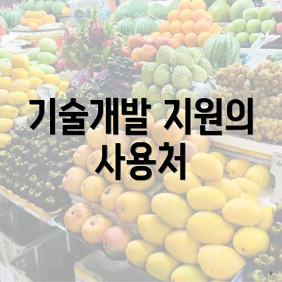 기술개발 지원의 사용처